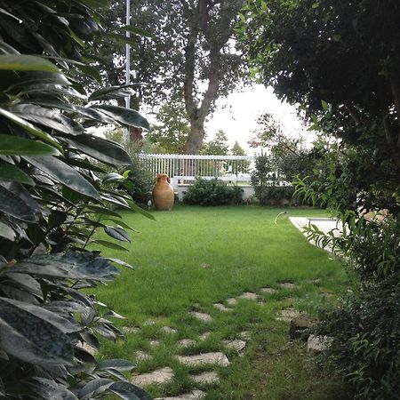 Villa Gioia Rooms Montegranaro Dış mekan fotoğraf