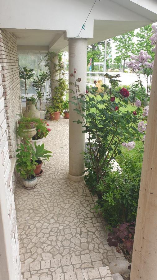 Villa Gioia Rooms Montegranaro Dış mekan fotoğraf