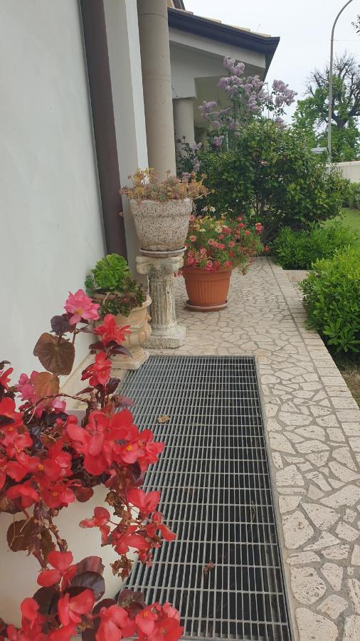 Villa Gioia Rooms Montegranaro Dış mekan fotoğraf
