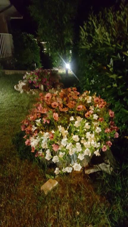 Villa Gioia Rooms Montegranaro Dış mekan fotoğraf