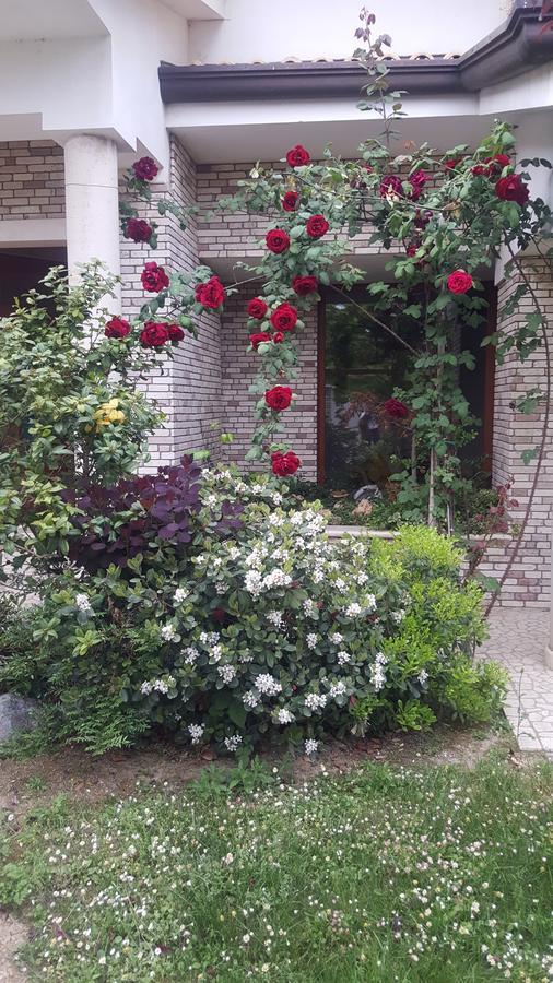 Villa Gioia Rooms Montegranaro Dış mekan fotoğraf