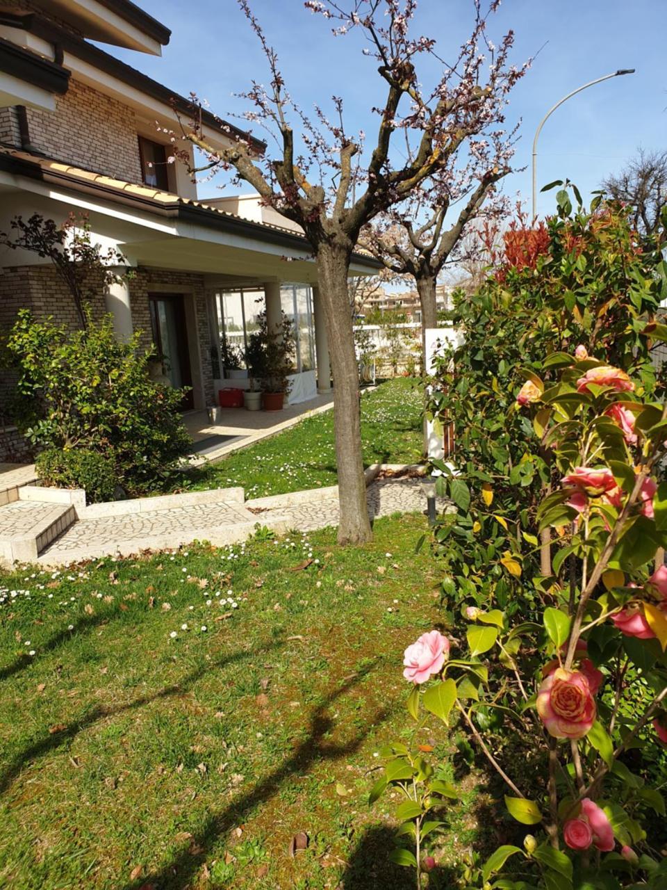 Villa Gioia Rooms Montegranaro Dış mekan fotoğraf